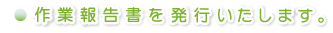 作業報告書を発行致します。
